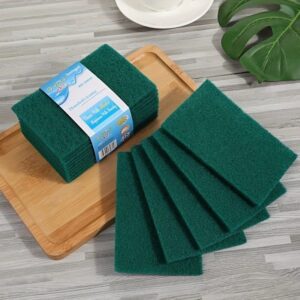 10pc Green Scrubbing Pads