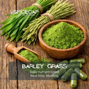 Barley Grass SpiceCap